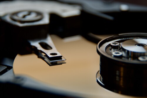 _DSC0010-2.jpeg