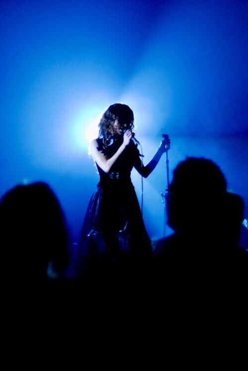 _DSC0134.jpeg